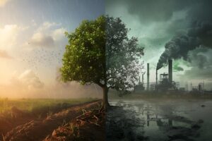 Splitscreen image highlighting environmental issues green tree vs ...