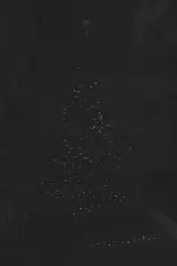 What an unprocessed photo looks like