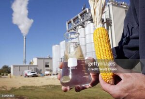 266 Bushel Of Corn Stock Photos, High-Res Pictures, and Images ...