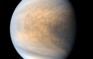 50530415266_a67d907fac_b-1024x648-1