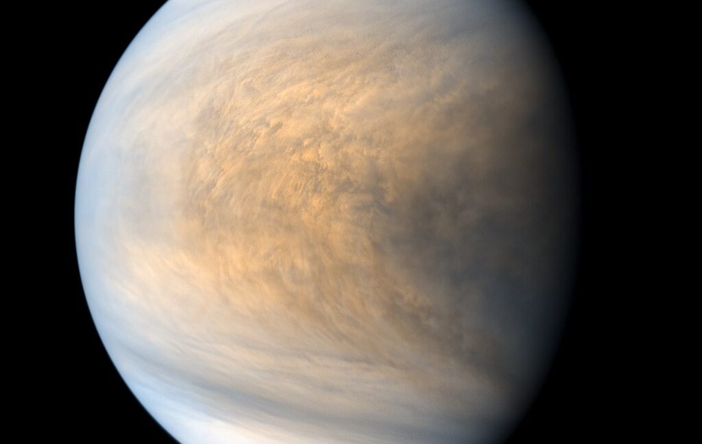 50530415266_a67d907fac_b-1024x648-1