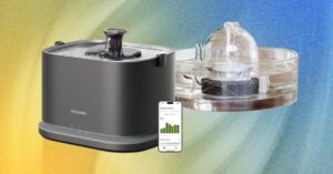 Best20Cat20Fountains20Update2012202520top20art20SOURCE20Brooke_Petlibro