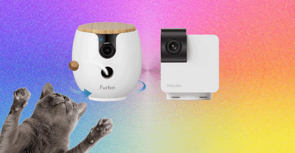 The20Best20Pet20Cameras20for20Dogs20and20Cats2_
