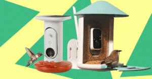The20Best20Smart20Bird20Feeders20for20Backyard20Birding202