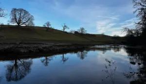 Alternatives to MinIO for single-node local S3