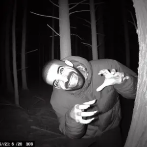 Neocities Is Blocked by Bing