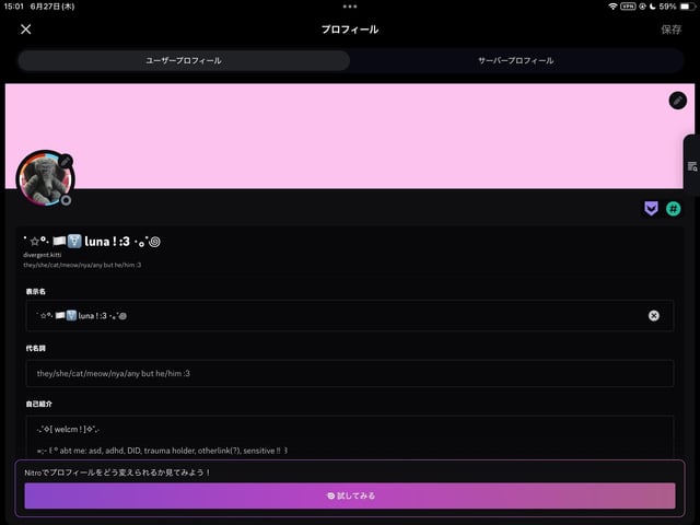 so uhh apparently the trans flag dosent work : r/discordapp