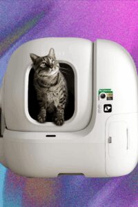 The 6 Best Automatic Litter Boxes (2025) Our Cats Would Recommend ...