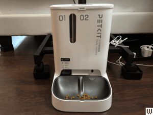 These 8 Automatic Cat Feeders Were the Best We Tested (2025) | WIRED