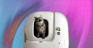 The 7 Best Automatic Litter Boxes (2025) Our Cats Would Recommend