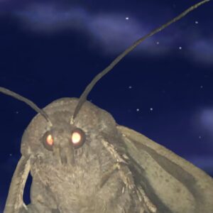 Moth Lamp Flappy love - App on Amazon Appstore