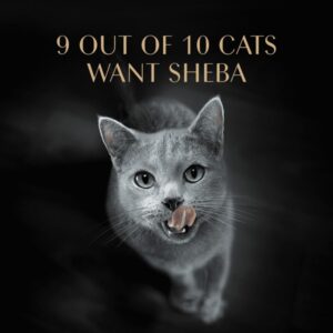 SHEBA® PERFECT PORTIONS™ Premium Paté Sustainable Salmon Entrée