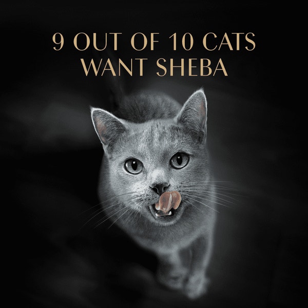 SHEBA® PERFECT PORTIONS™ Premium Paté Sustainable Salmon Entrée