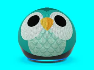 Amazon’s best Echo speakers and screens just got their biggest discounts