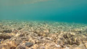 Mining the deep ocean