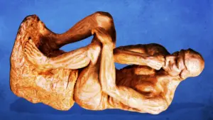 Ig Nobels ceremony moves to Europe over security concerns