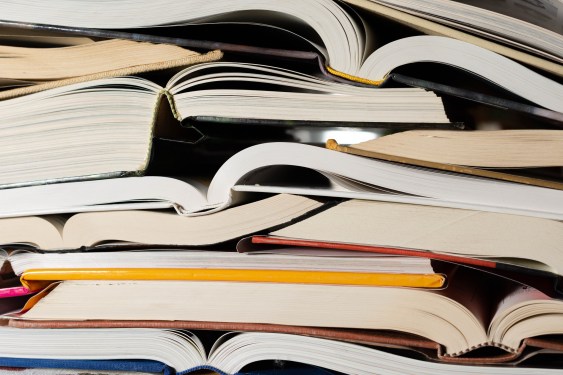 Publisher pulls horror novel 'Shy Girl' over AI concerns | TechCrunch