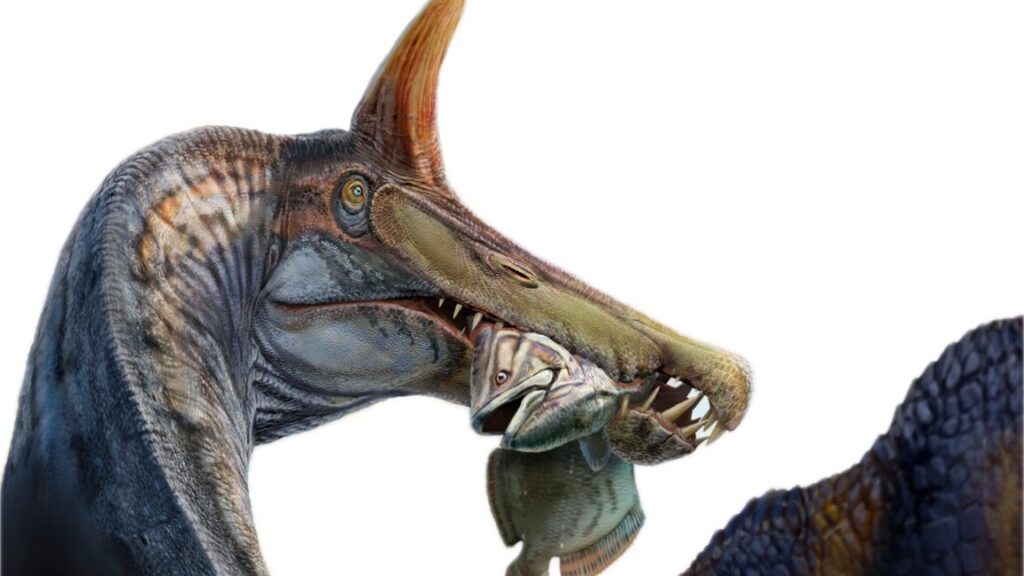 spinosaurus-mirabilis-main-Background-Removed-1152x648-1