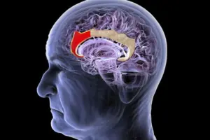 Chinese brain interface startup Gestala raises $21M just two months after launch