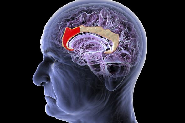 This Chinese Startup Wants to Build a New Brain-Computer Interface ...