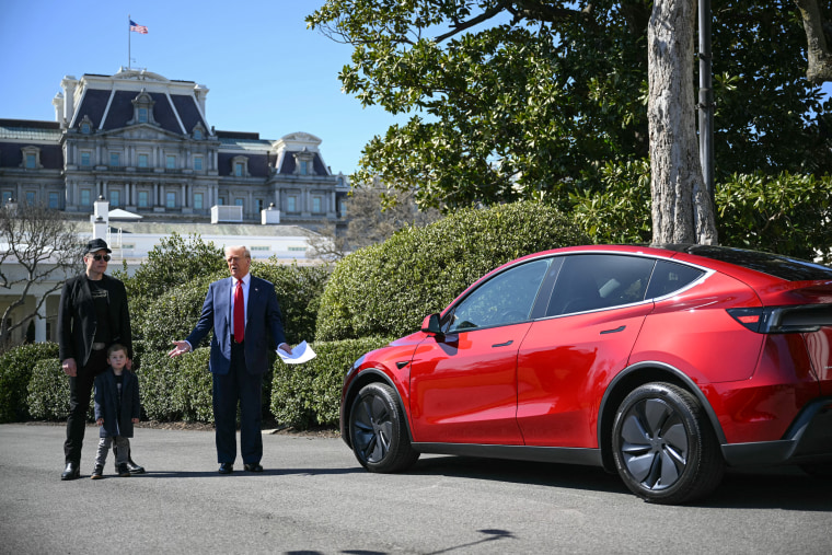 Trump turns the White House lawn into a Tesla showroom
