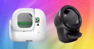 The-Best-Automatic-Litter-Boxes-Tested-by-Our-Spoiled-Cats