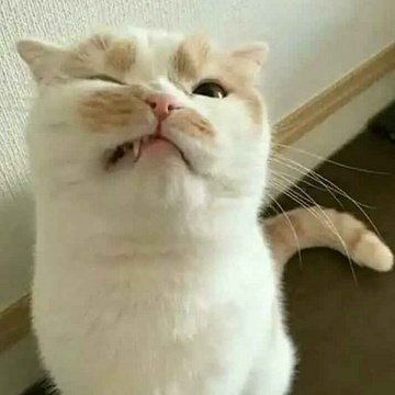 http desync attack on discord !!