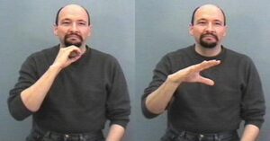 Quantification in American Sign Language | Springer Nature Link