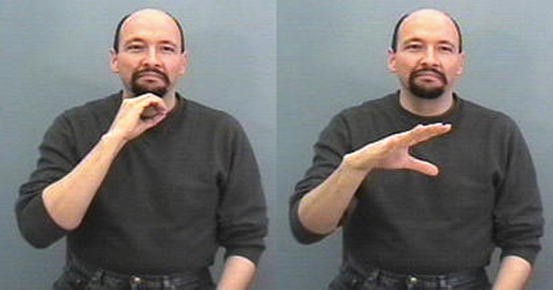 Quantification in American Sign Language | Springer Nature Link