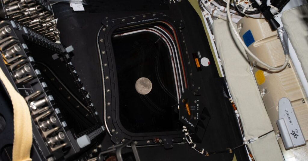 science_Artemis_GettyImages-2269645595