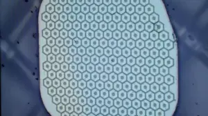 Someone planted backdoors in dozens of WordPress plug-ins used in thousands of websites