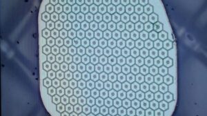 TechCrunch | Startup and Technology News