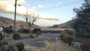 My Experience as a Rice Farmer